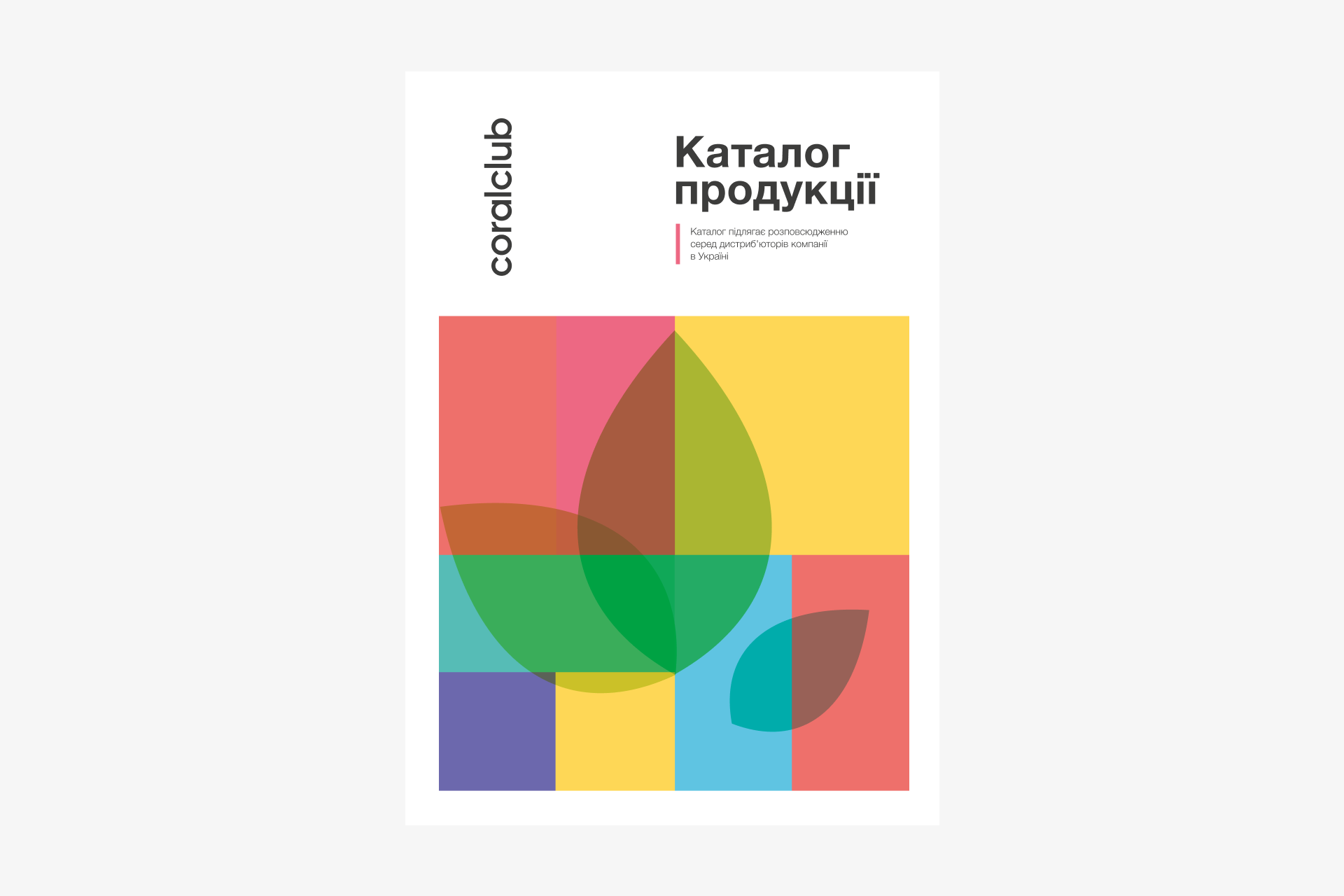 Katalog produktów